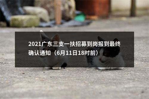 2021广东三支一扶招募到岗报到最终确认通知（6月11日18时前） 图片