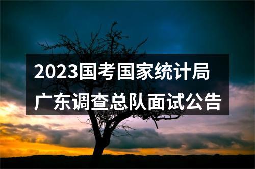 2023国考国家统计局广东调查总队面试公告 图片