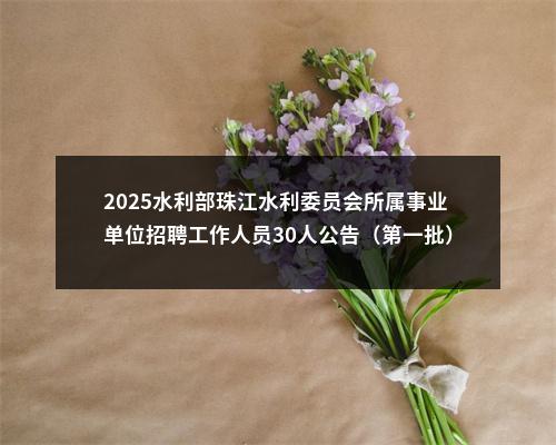 2025水利部珠江水利委员会所属事业单位招聘工作人员30人公告（第一批） 图片