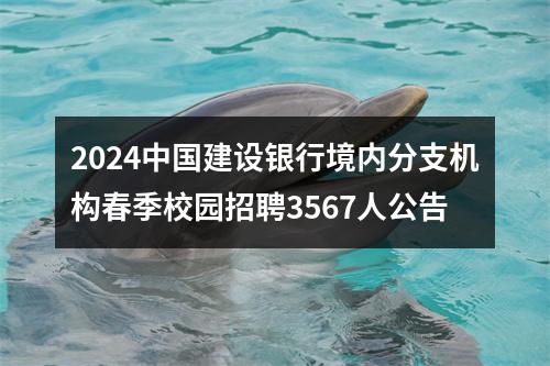 2024中国建设银行境内分支机构春季校园招聘3567人公告 图片