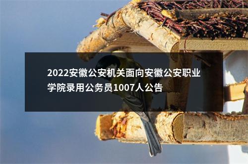 2022安徽公安机关面向安徽公安职业学院录用公务员1007人公告 图片
