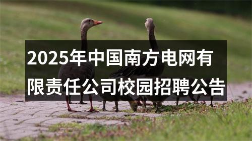 2025年中国南方电网有限责任公司校园招聘公告 图片