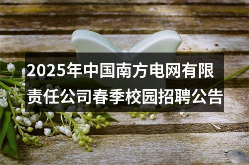 2025年中国南方电网有限责任公司春季校园招聘公告 图片