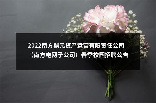 2022南方鼎元资产运营有限责任公司（南方电网子公司）春季校园招聘公告 图片