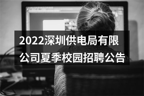 2022深圳供电局有限公司夏季校园招聘公告 图片