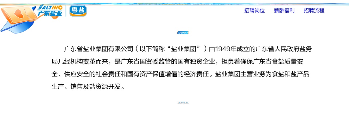 2023广东省盐业集团有限公司校园招聘公告 图片